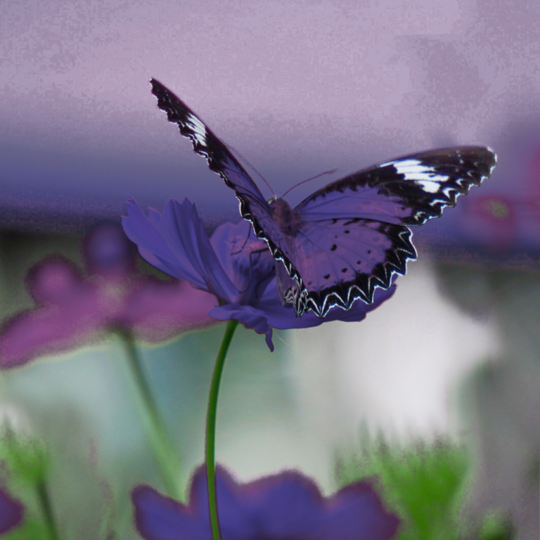 Small Weekly Challenges To Change Your Life