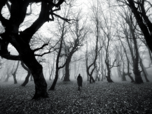Navigating the Dark Night of the Soul | Fractal Transforamtion